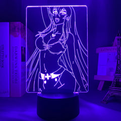 Led Night Light Akame Ga Kill Esdeath 3d Lamp Anime for Room Decor Nightlight Kid Child Birthday Gift Akame Ga Kill Esdese Light