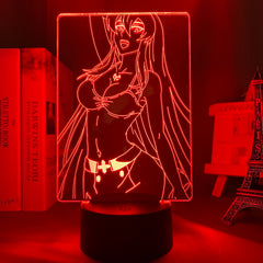 Led Night Light Akame Ga Kill Esdeath 3d Lamp Anime for Room Decor Nightlight Kid Child Birthday Gift Akame Ga Kill Esdese Light